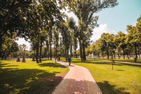 В Киеве создадут новые бульвары: адреса