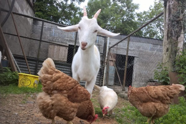 Что за фильм 