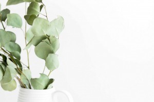 Философия Zero Waste: 5 книг об осознанном потреблении