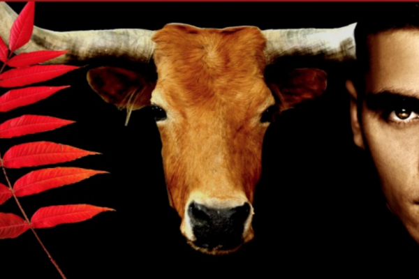 Создатели фильма 