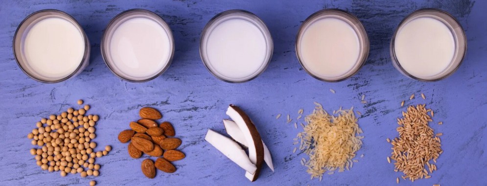Чем заменить коровье молоко: виды растительного молока, плюсы и минусы