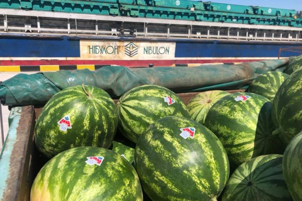 Киевляне получат херсонские арбузы с  QR-кодом и информацией о туризме