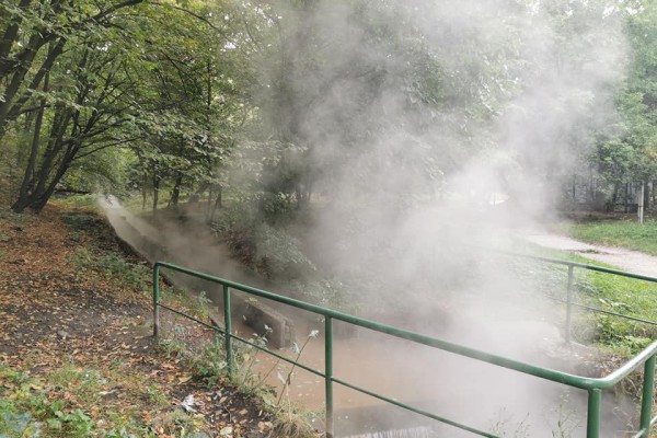 Было горячо: в пруды Голосеевского района слили кипяток. Фото и видео