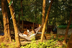 Чем заняться в Гидропарке: развлечения и цены