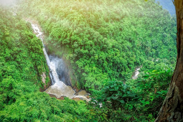 Нацпарк в Таиланде будет возвращать мусор туристам через почту