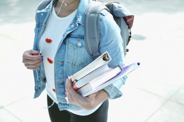 Министерство образования запустит электронные школьные дневники и журналы