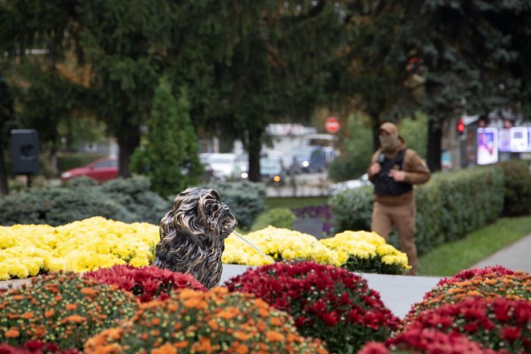 В Киеве открыли новый сквер и назвали в честь немецкого города Мюнхен. Фото