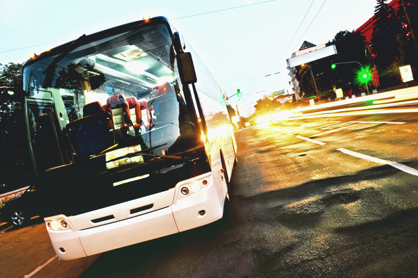 Стало известно, какие самые популярные международные автобусные маршруты в Украине