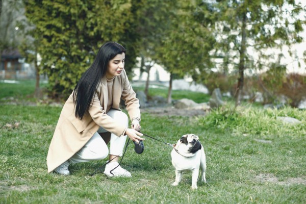 Идеальные условия для прогулок: какая будет погода на этой неделе в Киеве