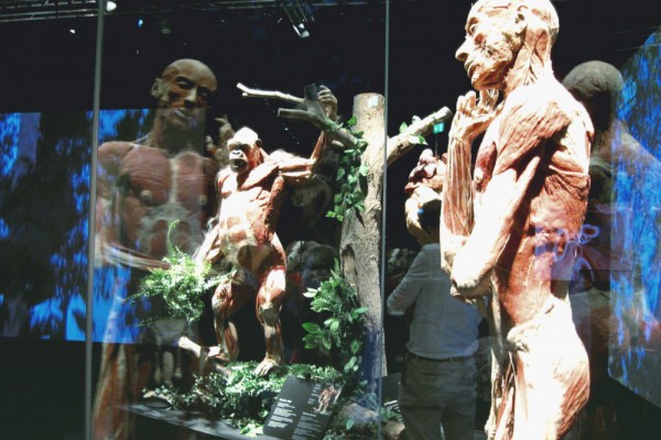 Шок и гиганты: в Киеве откроется выставка 