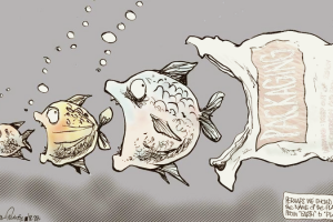 7 украинских экоприложений, которые спасают нашу планету уже сейчас