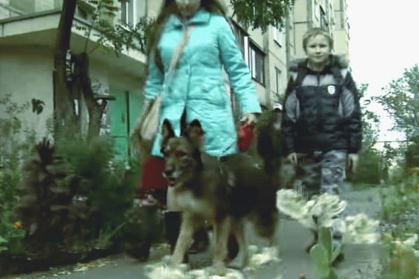 К киевлянке вернулся пес, который пропал 10 лет назад