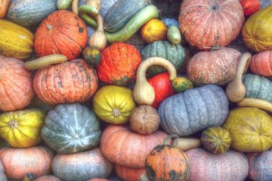 Какие сезонные овощи покупать осенью и чем они полезны: советы диетолога