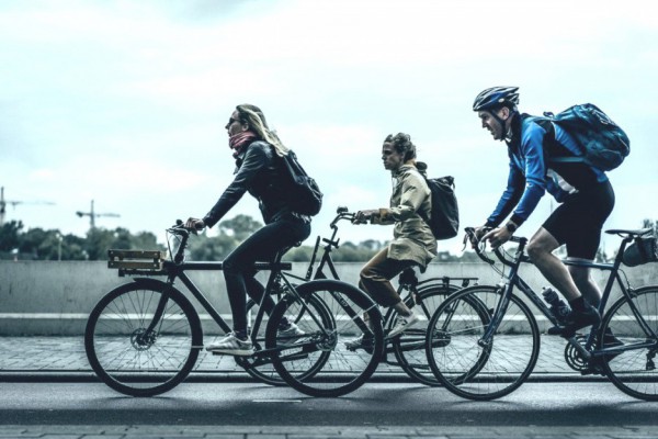 Поехали: велосипедистам разрешили пользоваться полосой общественного транспорта на дорогах