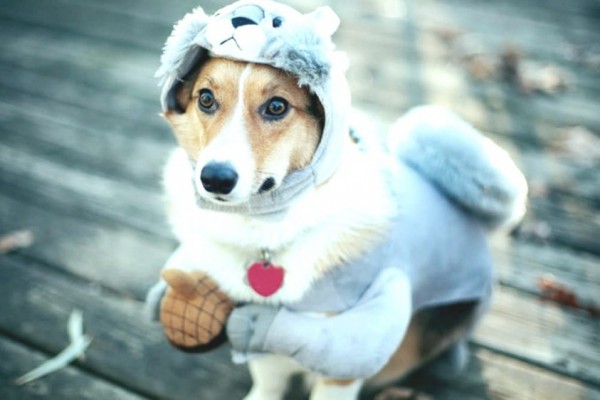 Готовьтесь к нулевой температуре: какая погода будет на этих выходных в Киеве