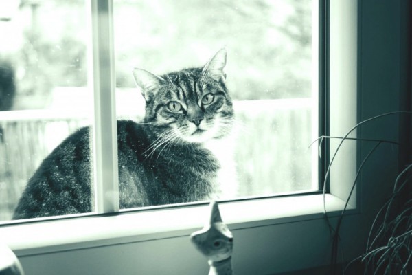 Минус и мокрый снег: какая погода будет на этой неделе в Киеве