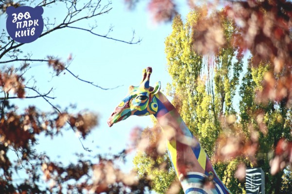 Киевский зоопарк теперь будет работать в режиме парка