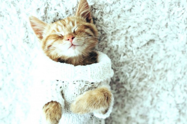 Утепляемся: какая погода будет на этой неделе в Киеве