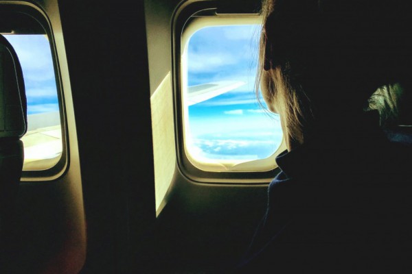 Летающая пчелка: в Украине появится новый лоукостер Bees Airlines