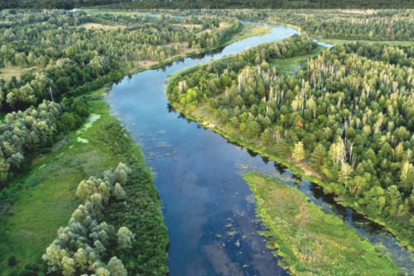 Чернобыльский заповедник впервые включили в самую большую базу природоохранных зон мира