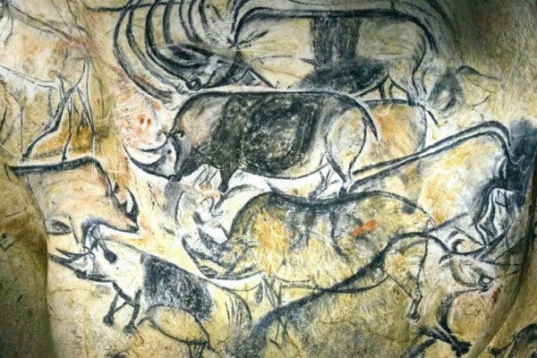 Открытие пещеры Шове: Google выпустил свой новый памятный дудл