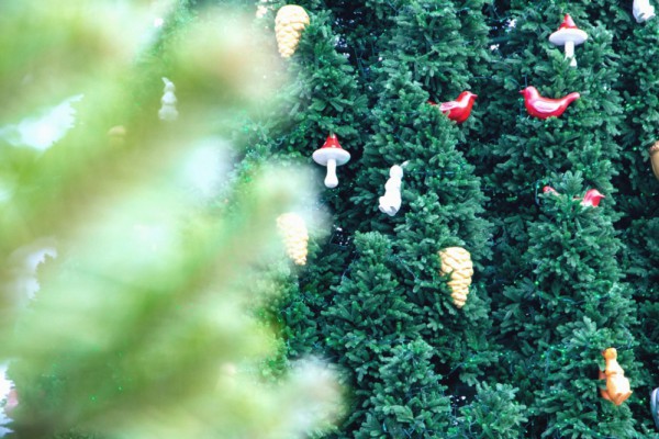 День святого Николая в Киеве: как пройдет церемония зажжения елки на Софийской площади