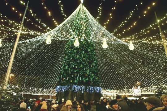 Главная елка Украины попала в ТОП-10 самых красивых праздничных деревьев  Европы