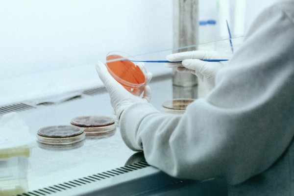 Ученые выявили пять видов мутации китайского коронавируса в Украине