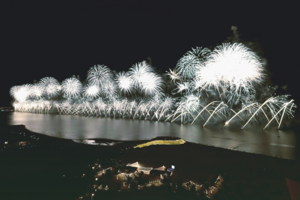 На пороге 2021: как отпраздновали Новый Год в разных странах мира, - ФОТО