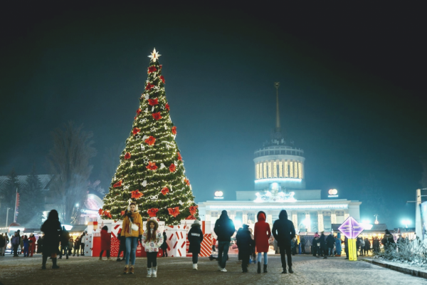 Стало известно, что будет работать на ВДНХ в период зимнего локдауна