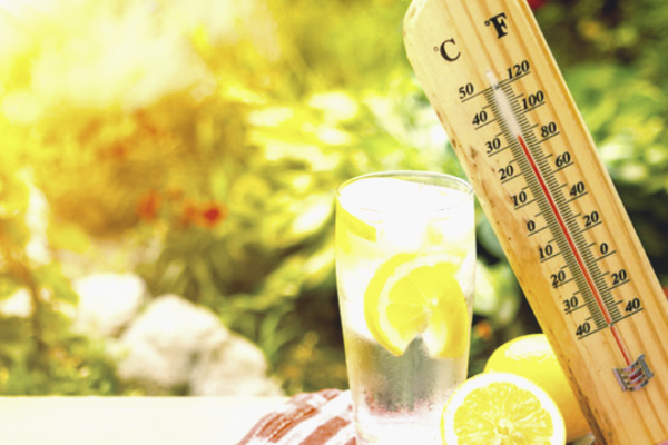 Температурный рекорд Европы побит: 2020 год признали одним из самых жарких за все время