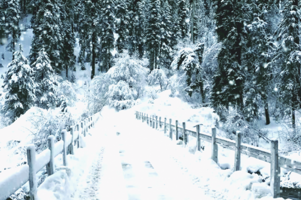В Украине синоптики прогнозируют сильное похолодание и снегопады
