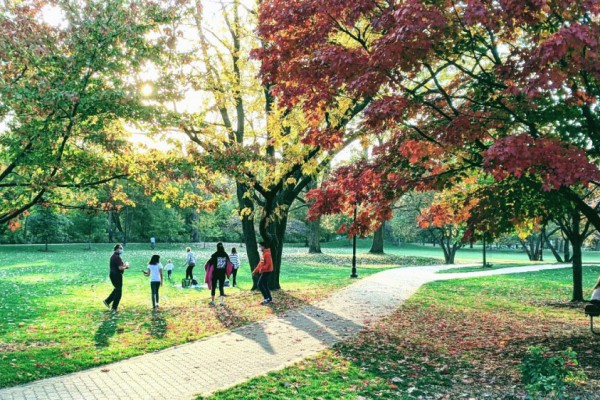 За 19 лет в Киеве должно появиться 26 новых парков: список 