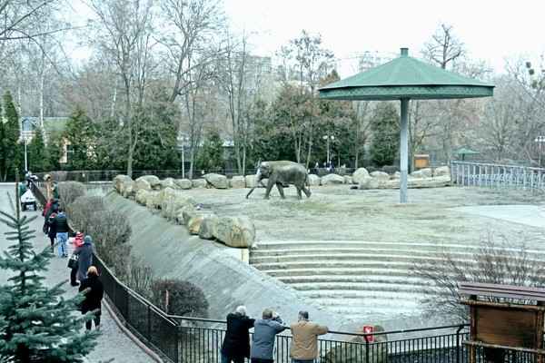 Киевский зоопарк снизил цены на билеты во время локдауна