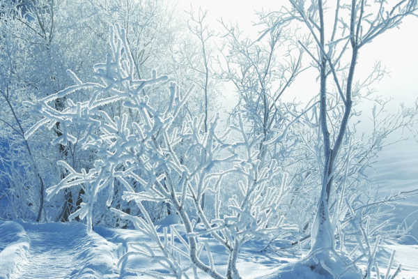 Прогноз погоды в Украине: сколько продлятся сильные морозы