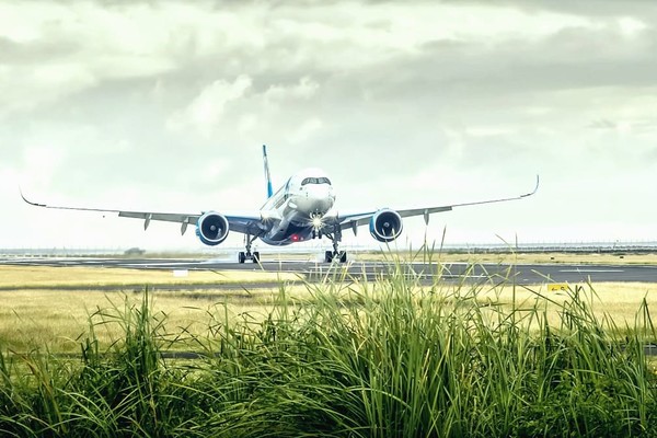 Украинский лоукостер Bees Airlines назвал свой первый маршрут