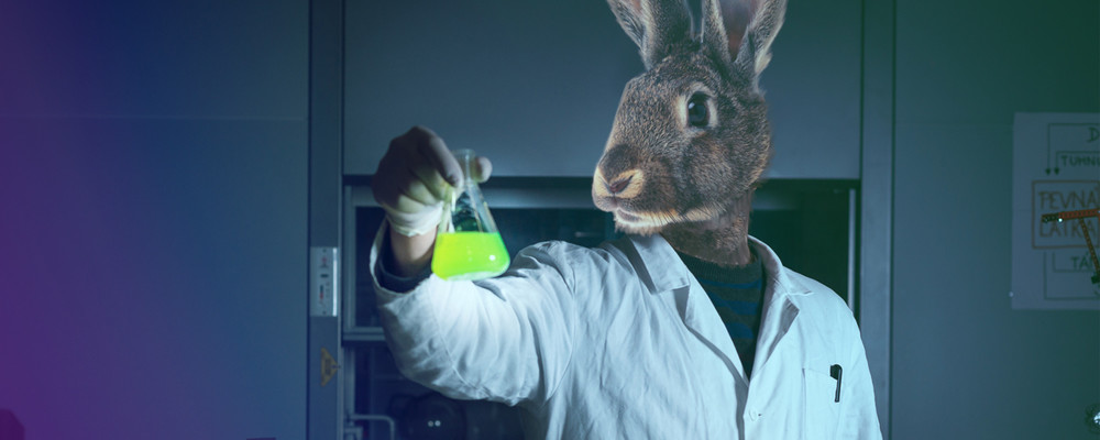 Все кролики живы: как выбрать косметику, которую не тестируют на животных - рассказывает эксперт