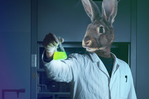 Все кролики живы: как выбрать косметику, которую не тестируют на животных - рассказывает эксперт