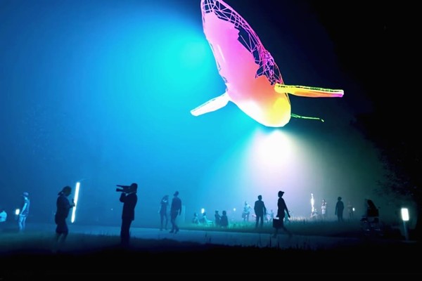 В Киеве появится 12-метровая интерактивная скульптура кита из пластика. Видео