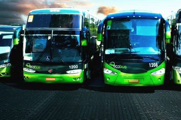 Киев решил закупить 20 