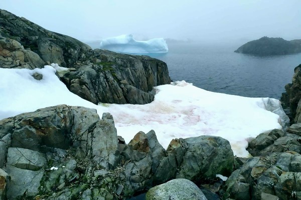 На украинской антарктической станции 
