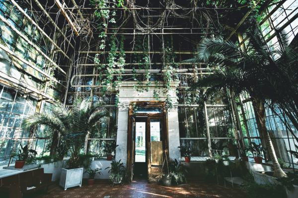 В Киеве реконструируют старую оранжерею на ВДНХ, чтобы спасти уникальные зеленые экспонаты 