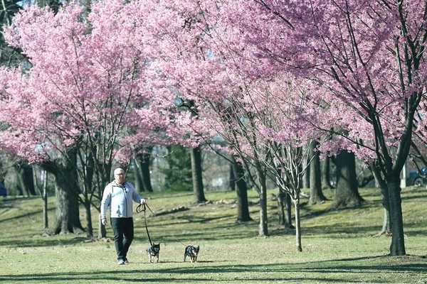 Прогноз погоды в Киеве на неделю: с 1 по 5 марта 2021 года