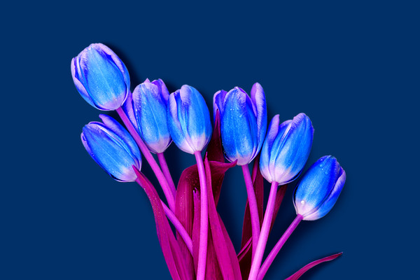 Что подарить на 8 марта жене, девушке, маме: 51 вариант небанального подарка