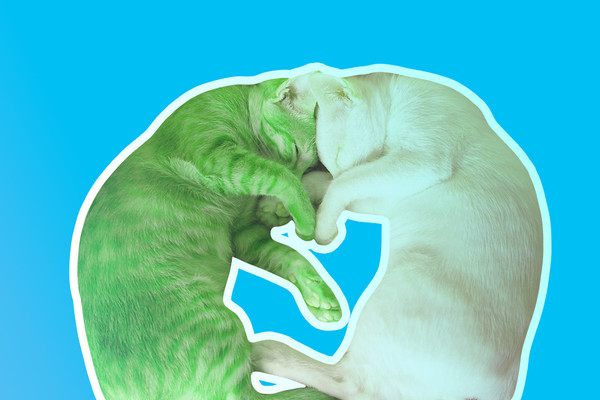 Куда пойти в Киеве на выходных: афиша на 13-14 марта 2021