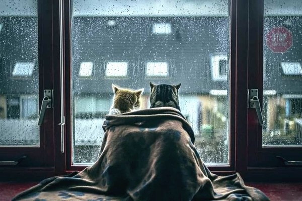 Прогноз погоды в Киеве на 13-14 марта 2021 года: резкое ухудшение погодных условий