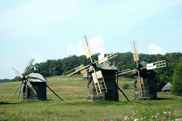 Киевлян зовут присоединиться к высадке фруктовых деревьев в Пирогово