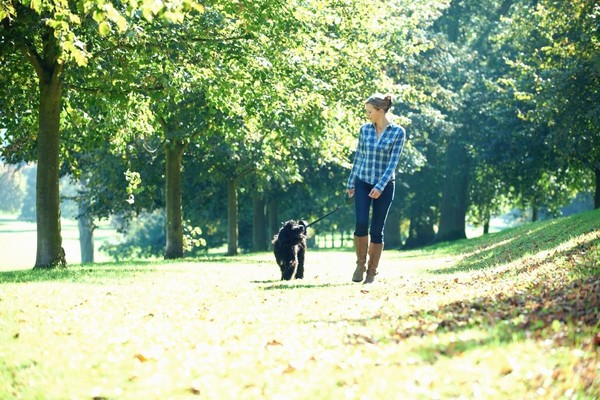 Стало известно, где появятся новые зеленые зоны отдыха в Киеве: адреса