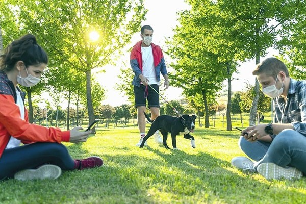 В Минздраве сказали, можно ли гулять в парках и скверах 