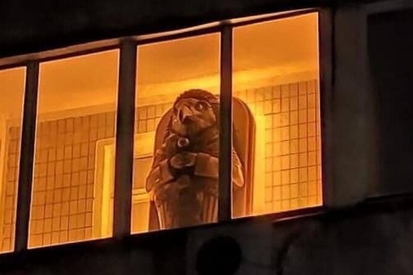 В Киеве на балконе одной из многоэтажек заметили двухметровый саркофаг